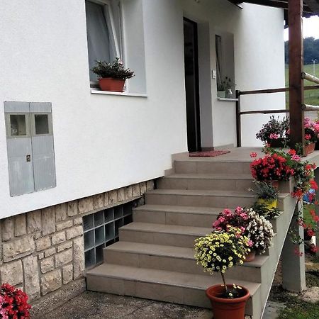 Guesthouse Bor Plitvice Lakes Plitvička Jezera Екстериор снимка